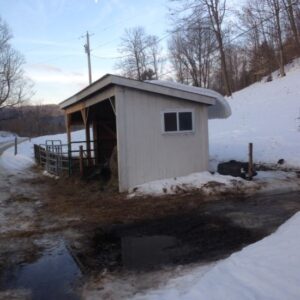 Transitioning to Spring on a Micro-Dairy Farm, Part 1 Image